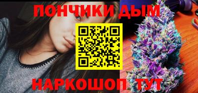 тгк Бийск
