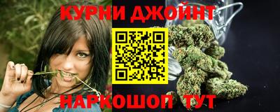 тгк Бийск