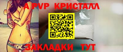 тгк Бийск