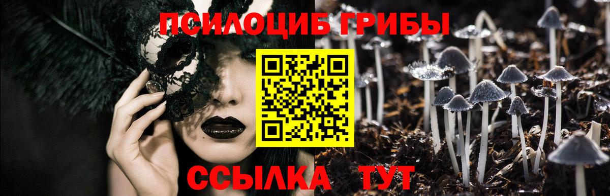Каспийск  Галлюциногенные грибы мухоморы  Вход с VPN  Псилоцибиновые грибы MAGIC MUSHROOMS 